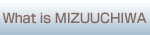 What is MIZUUCHIWA?